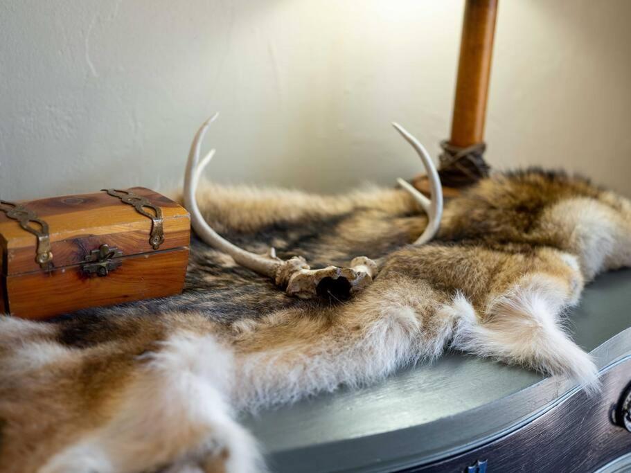 Stonegate Lodge Bear'S Den Kitchen, Pool, Firepit, Wifi ,Smart Tvs Eureka Springs Exterior foto